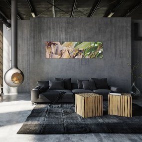 Obraz wiewiórki na drzewie (170x50 cm)