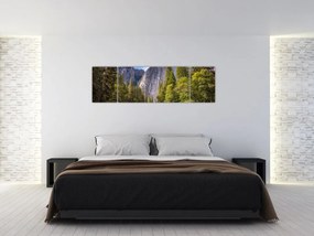 Obraz - Pod Yosemite Rock (170x50 cm)