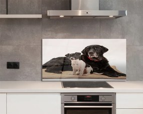 Szklany Panel Odpoczywająca Para Psów