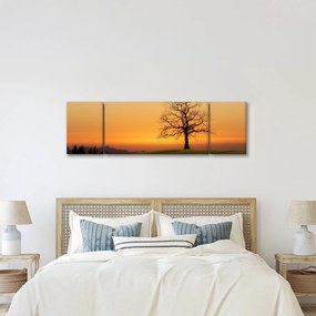 Obraz zachodu słońca na łące (170x50 cm)