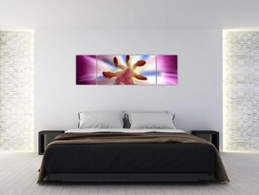 Obraz - Kwiat tulipana w szczegółach (170x50 cm)