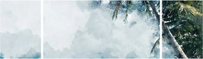 Obraz palmy nad morzem (170x50 cm)