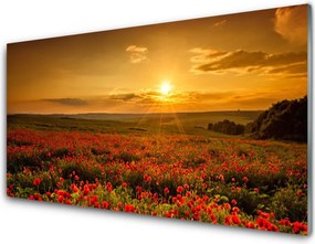 Szkło nad Blatem Maki w Blasku Zachodzącego Słońca