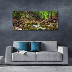 Obraz canvas Głęboka Zieleń Leśnego Mchu