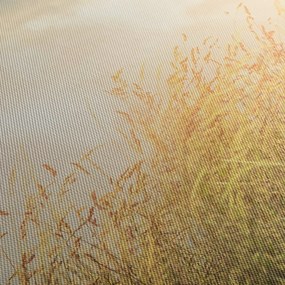 Obraz - Pole jesienią (170x50 cm)