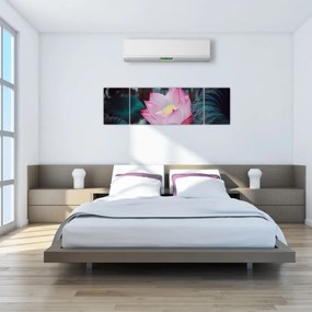 Obraz różowego kwiatu (170x50 cm)