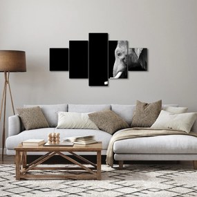 Obraz - Słoń (125x70 cm)