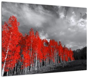 Obraz na szkle - Drzewa w kolorze jesieni (70x50 cm)