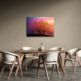 Obraz drzew we mgle (70x50 cm)
