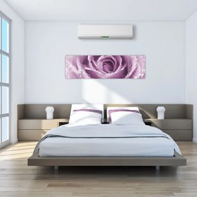 Obraz szczegółu kwiatu róży (170x50 cm)