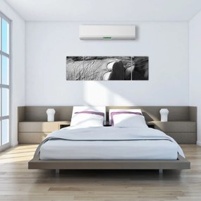 Obraz - Noga słonia (170x50 cm)