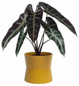 Ceramiczna doniczka ø 14 cm Diana – Artevasi