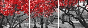 Obraz - Czerwone drzewa, Central Park, New York (z zegarem) (90x30 cm)