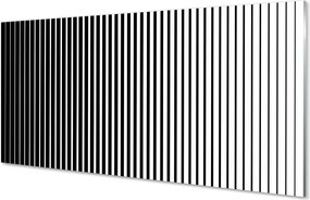 Panel Szklany Gradientowy Wzór Zebry