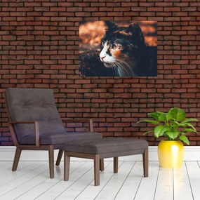 Obraz na szkle - Spojrzenie kota (70x50 cm)