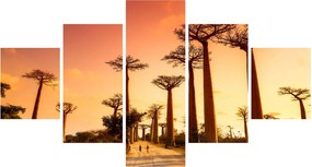 Obraz - Zachód słońca w Baobab Alley (125x70 cm)