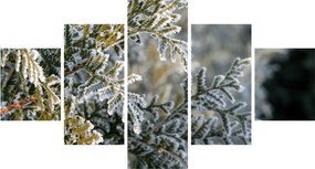 Obraz - Detal gałęzi (125x70 cm)