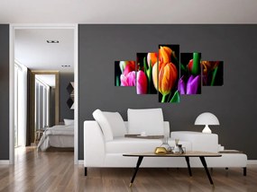 Obraz tulipanów na czarnym tle (125x70 cm)