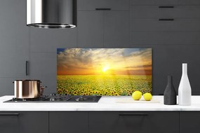 Panel Szklany Słoneczniki Na Słonecznej Polanie