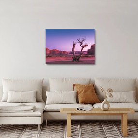 Obraz na szkle drzewa w pobliżu czerwonych skał (70x50 cm)