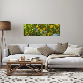 Obraz - Drzewo cytrynowe (z zegarem) (90x30 cm)