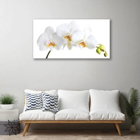 Duży obraz na płótnie Pastelowy Bukiet Botaniczny