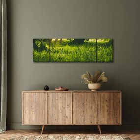Obraz natury - łąka (170x50 cm)