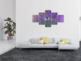 Obraz - Motyl w lawendach (125x70 cm)