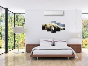 Obraz kota (125x70 cm)