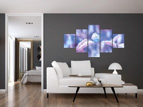 Obraz - Motyle zimą (125x70 cm)