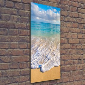 Foto obraz szklany pionowy Tropikalna plaża