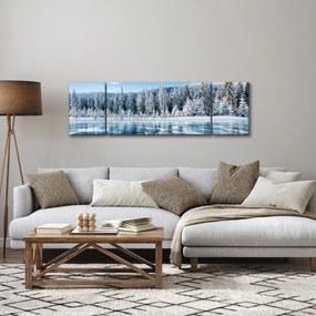 Obraz zamarzniętego jeziora i pokrytych śniegiem drzew (170x50 cm)