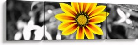 Obraz żółtego kwiatu (170x50 cm)