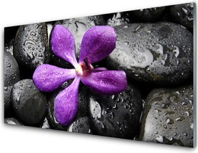 Panel Szklany Harmonijna Kompozycja Zen