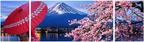 Obraz - Widok na szczyt, Japonia (170x50 cm)