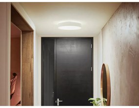 Inteligentna lampa sufitowa LED 19 W Enrave – Philips Hue