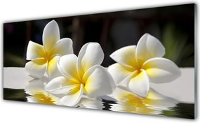 Szkło do Kuchni na Ścianę Harmonijny Bukiet Polny