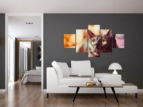 Obraz czarnego kota (125x70 cm)