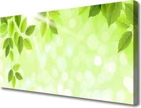 Obraz canvas Organiczny Motyw Liści