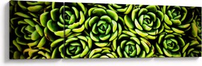 Obraz bez grzywki (170x50 cm)