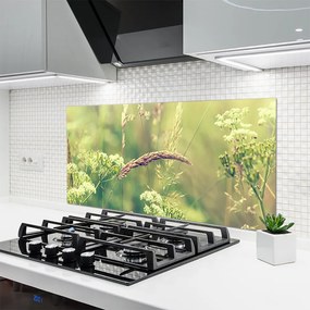 Panel Szklany Surowy Urok Polnej Flory