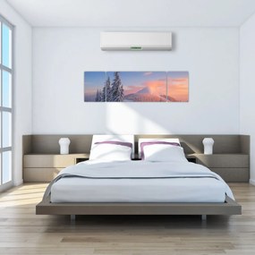 Obraz - Zimowy krajobraz (170x50 cm)