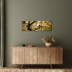Obraz żółtego klonu japońskiego, Portland, Oregon (z zegarem) (90x30 cm)