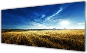 Szkło Ozdobne do Kuchni Słoneczne Łany Zboża