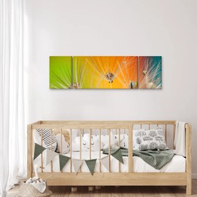 Obraz kropli na roślinie (170x50 cm)