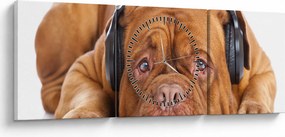 Obraz psa ze słuchawkami (z zegarem) (90x30 cm)