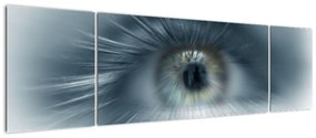 Obraz - Widok oka (170x50 cm)