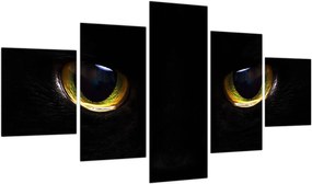 Obraz - Kocie oczy (125x70 cm)
