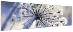 Obraz - Zamarznięty kwiat (170x50 cm)
