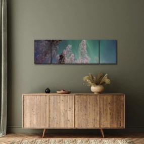 Obraz zorzy polarnej nad zamarzniętymi drzewami (170x50 cm)